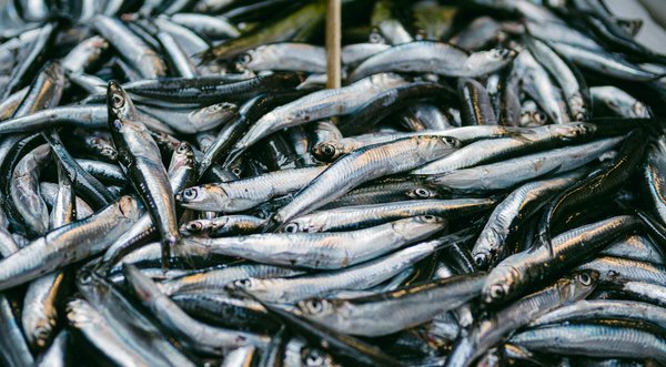 Découvrez comment les masturbateurs automatiques rehaussent le plaisir