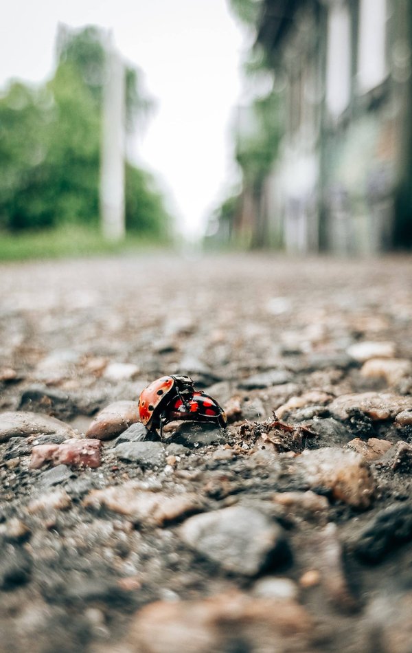 Les dernières avancées dans le domaine de la fertilité et de la conception
